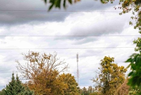 Forest Trail 62. Pakuonis – Vaišvydava.