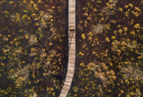 Dubrava Reserve Area