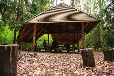 Forest Trail 62. Pakuonis – Vaišvydava.