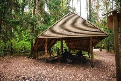 Forest Trail 62. Pakuonis – Vaišvydava.