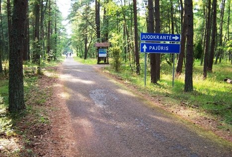 Neringa bicycle path