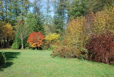 Dzūkija arboretum