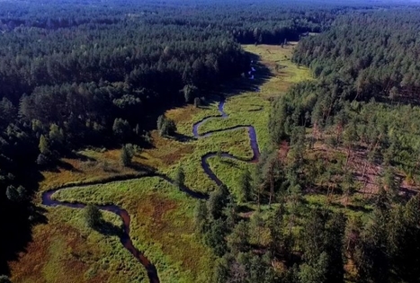 Dzūkijos nacionalinis parkas