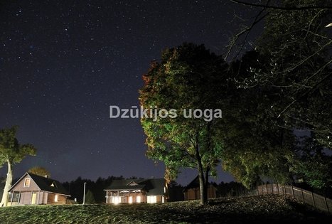 Homestead "Dzūkų uoga"