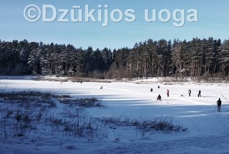 Winter holidays in Lithuania