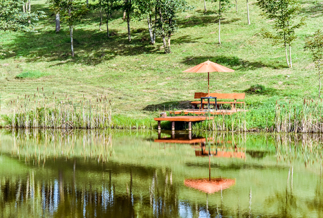 Sodyba „Svajonių Dvaras“