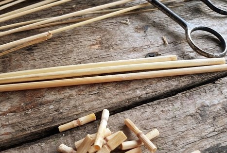 „Sodų rišimas“