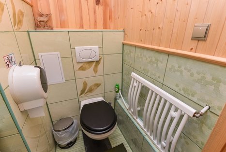 "Gintarinis pirties namelis" 