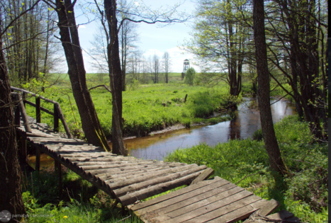 Gauja National Park