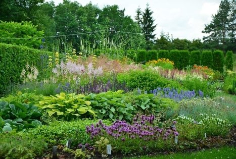 Botanical Garden of VU Siauliai Academy