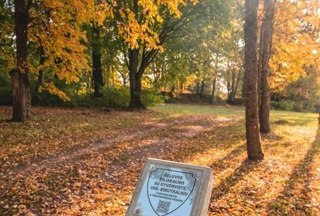 Gėluva mound or Birutkalnis