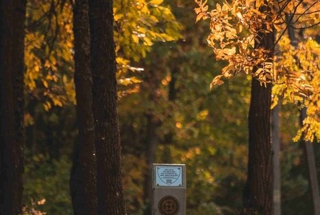 Gėluva mound or Birutkalnis