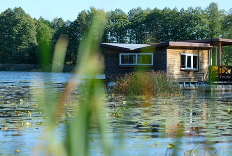 Homestead "Genutės ranča"