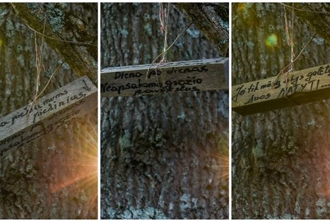 Campsite "Daugirdėnai"