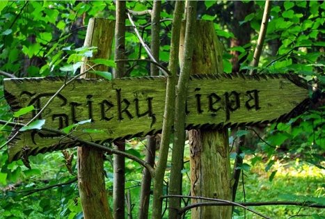 Dendrological educational trail