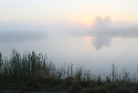 „Ažvinčių sodyba“