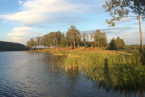 Homestead "Prie Labanoro"