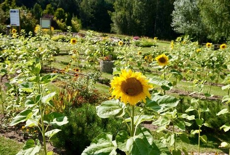 Energetinių labirintų ir geometrinių figūrų parkas