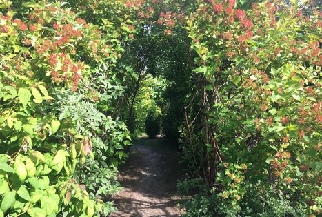 Energetinių labirintų ir geometrinių figūrų parkas