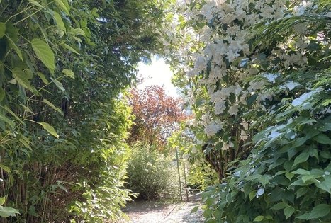 Energetinių labirintų ir geometrinių figūrų parkas