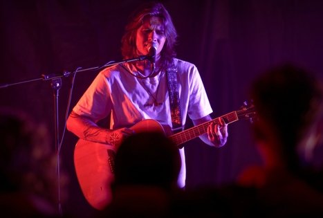 Vilijos Čepulienės sodyba