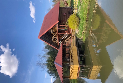 Homestead of Morta Mikašauskienė