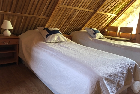 Homestead of Morta Mikašauskienė