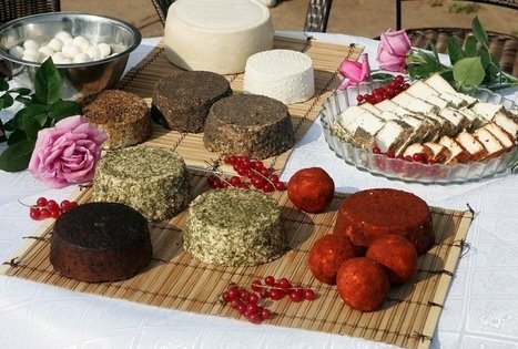 Ožkų sūrių programa