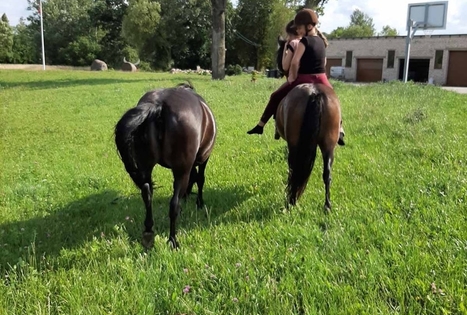 Ievos Šiurnės ūkis