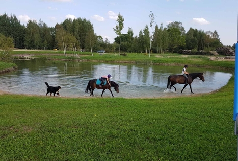 Ievos Šiurnės ūkis