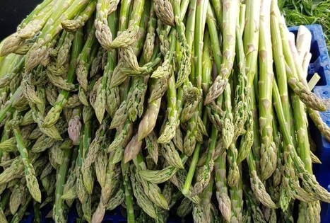 Ievos Šiurnės ūkis