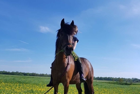 Ievos Šiurnės ūkis