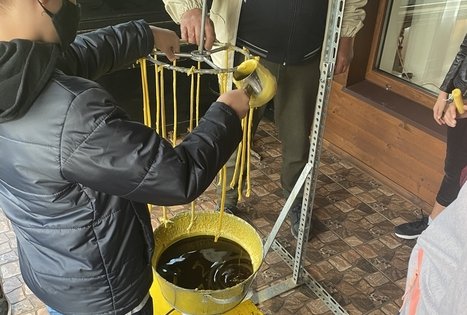 Medaus kelias nuo žiedo iki vartotojo