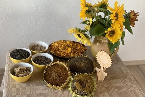 Sodyba „Molinė saulėgrąža“