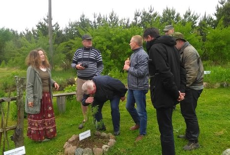 The "Misko sodai" farm