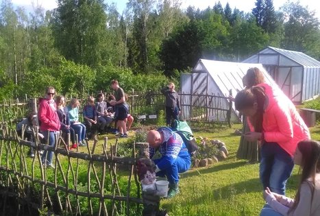 The "Misko sodai" farm