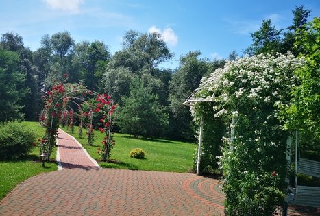 Daugėlų sodyba „Župė“