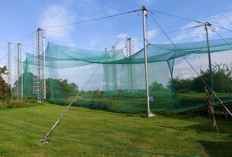 Ventes Ragas Ornithological Station