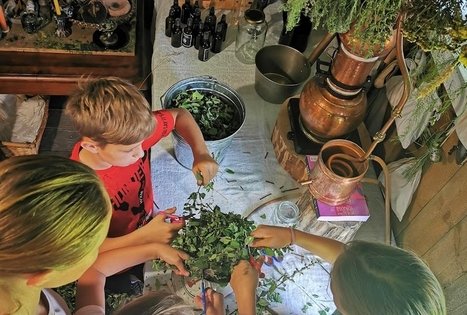 Sodyba „Gervių giesmė“