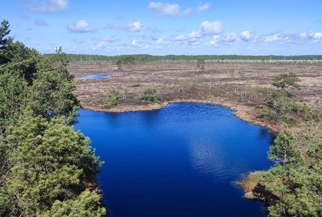 Aukštumalos pažintinis takas