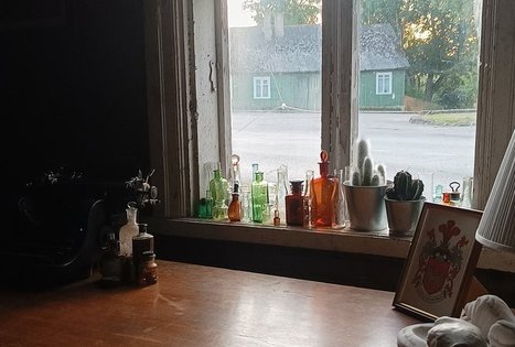 Pelkių žolė
