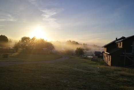 Homestead "Prie Labanoro"