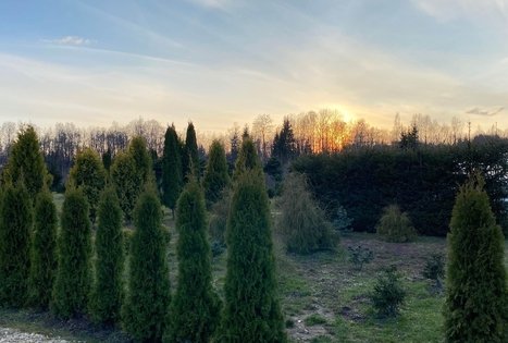 Sodyba „Glorija“