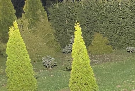 Sodyba „Glorija“