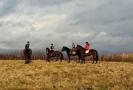 Žirgynas Kanapeckų ūkyje