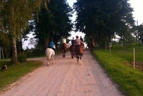 Žirgynas Kanapeckų ūkyje