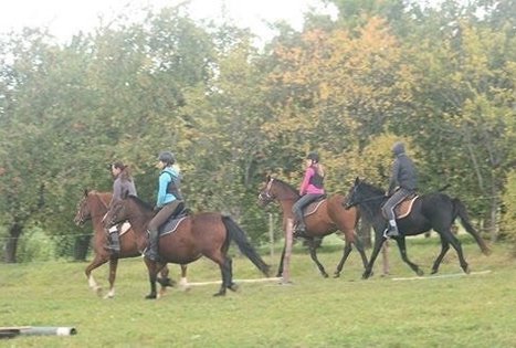 Žirgynas Kanapeckų ūkyje