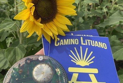 Sodyba „Molinė saulėgrąža“