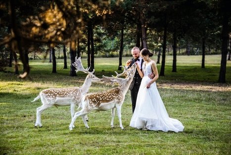 „Turauskų sodyba“