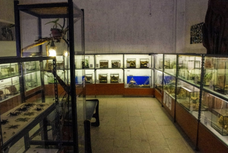 Insectarium 